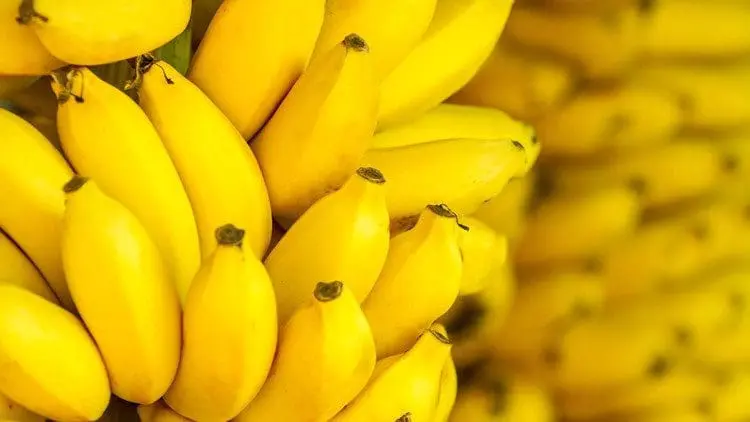 علماء سويسرا :قشور الموز المتعفنة لعلاج سرطان الجلد