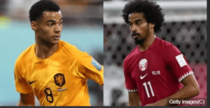 قطر هولندا كاس العالم قطر 2022م