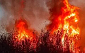 27 ألف حادث حريق في البلاد منذ بداية العام الحالي 2022