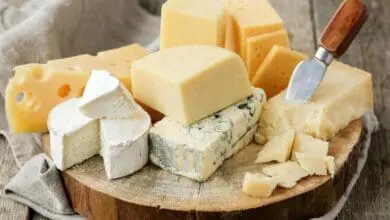 ? Is cheese harmful to health! What are the health benefits