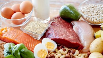البروتينات في الطعام وافضل الخيارات لصحتك