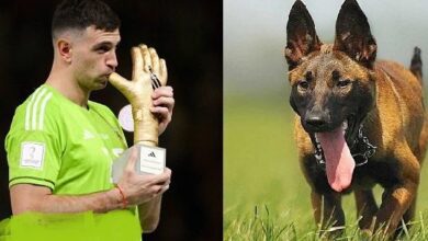 حارس مرمى الأرجنتين يقتني كلب حراسة خاص لحراسة ميداليته الذهبية