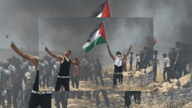 فلسطين اليوم: تصعيد عسكري واحتجاجات متواصلة
