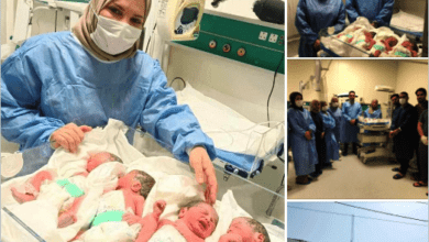 ولادة توأم رباعي بشهرهم الثامن في مستشفى الهندية التعليمي بكربلاء