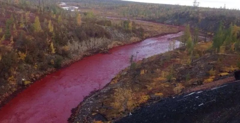 ظاهرة النهر الدموي هل هو نهاية العالم
