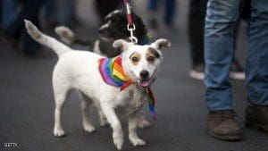 A reveler takes part in the Proud to be yourself gay pride parade with his dogs in Santiago on June 27 2015 AFP PHOTOVLADIMIR RODAS Photo credit should read VLADIMIR RODASAFPGetty Images