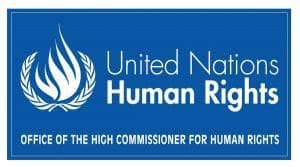 قضية حقوق الإنسان على مجلس الأمن