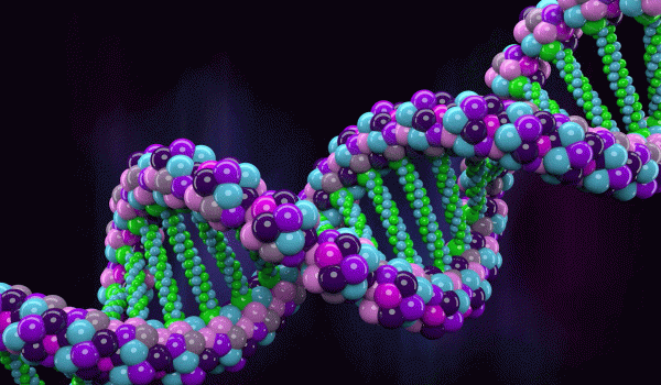 الحمض النووي dna علم الأنساب الجيني "Genetic genealogy"ورأي الشرع