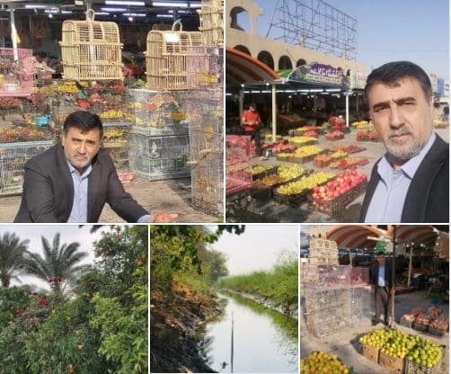 بعقوبة مدينة البرتقال وسلة العراق الغذائية