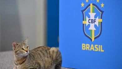 قطة تقتحم مؤتمر البرازيل قبل مواجهة كرواتيا