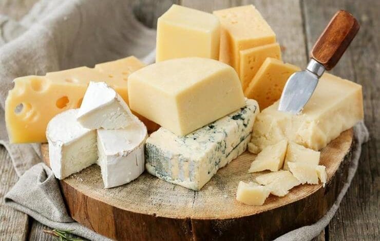 Is cheese harmful to health What are the health benefits