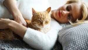 الامراض التي تسببها القطط للانسان في المنزل