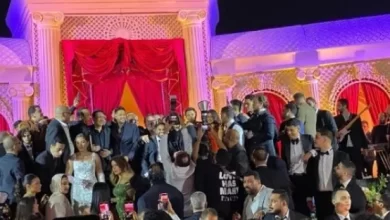 عمرو دياب ومحمد فؤاد في حفل زفاف عبدالرحمن